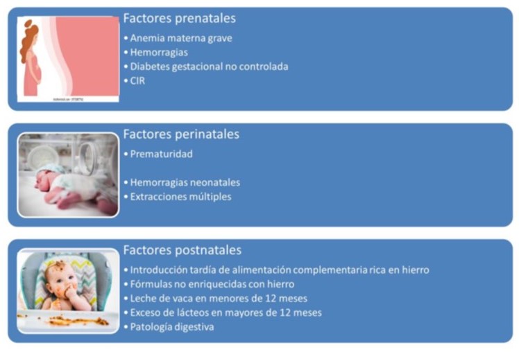 factores de riesgo ferropenia_0.jpg