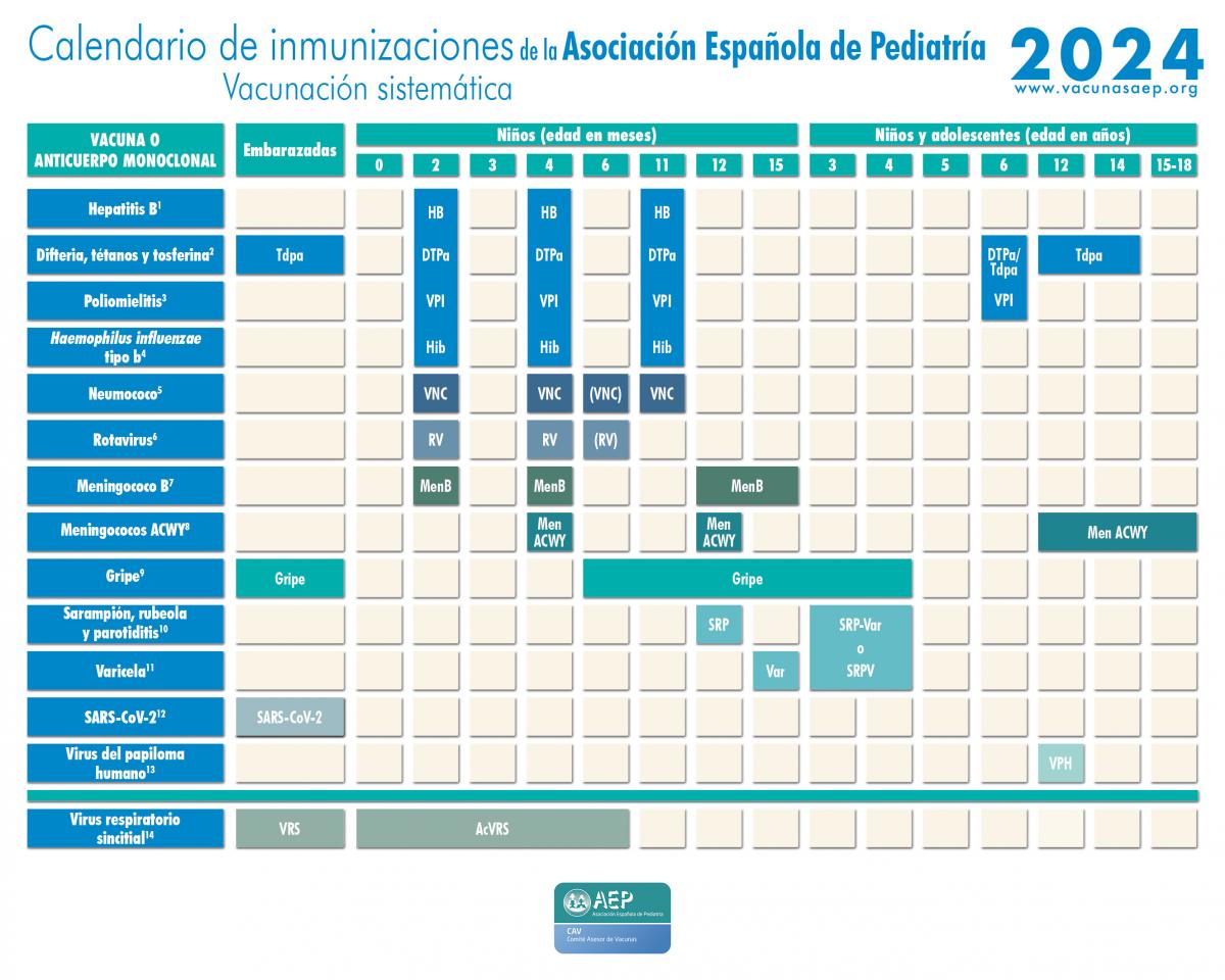 "Calendario de vacunaciones de la AEP 2024"
